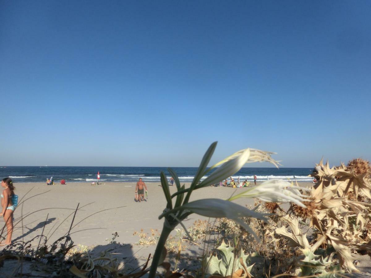 La Costa Est Villa Con Vista Mare In Ogliastra Sardegna Tertenia Luaran gambar
